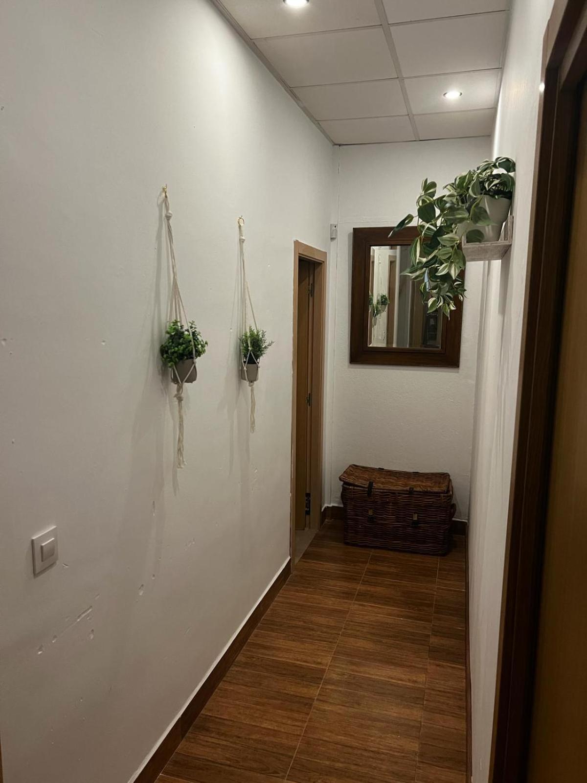 Villa Dehesa Olive 卢塞纳 外观 照片